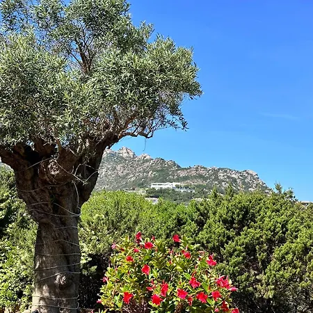 Πανσιόν Ersy House Πόρτο Τσέρβο